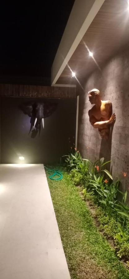 Villa Mon Reve Ubud Dış mekan fotoğraf