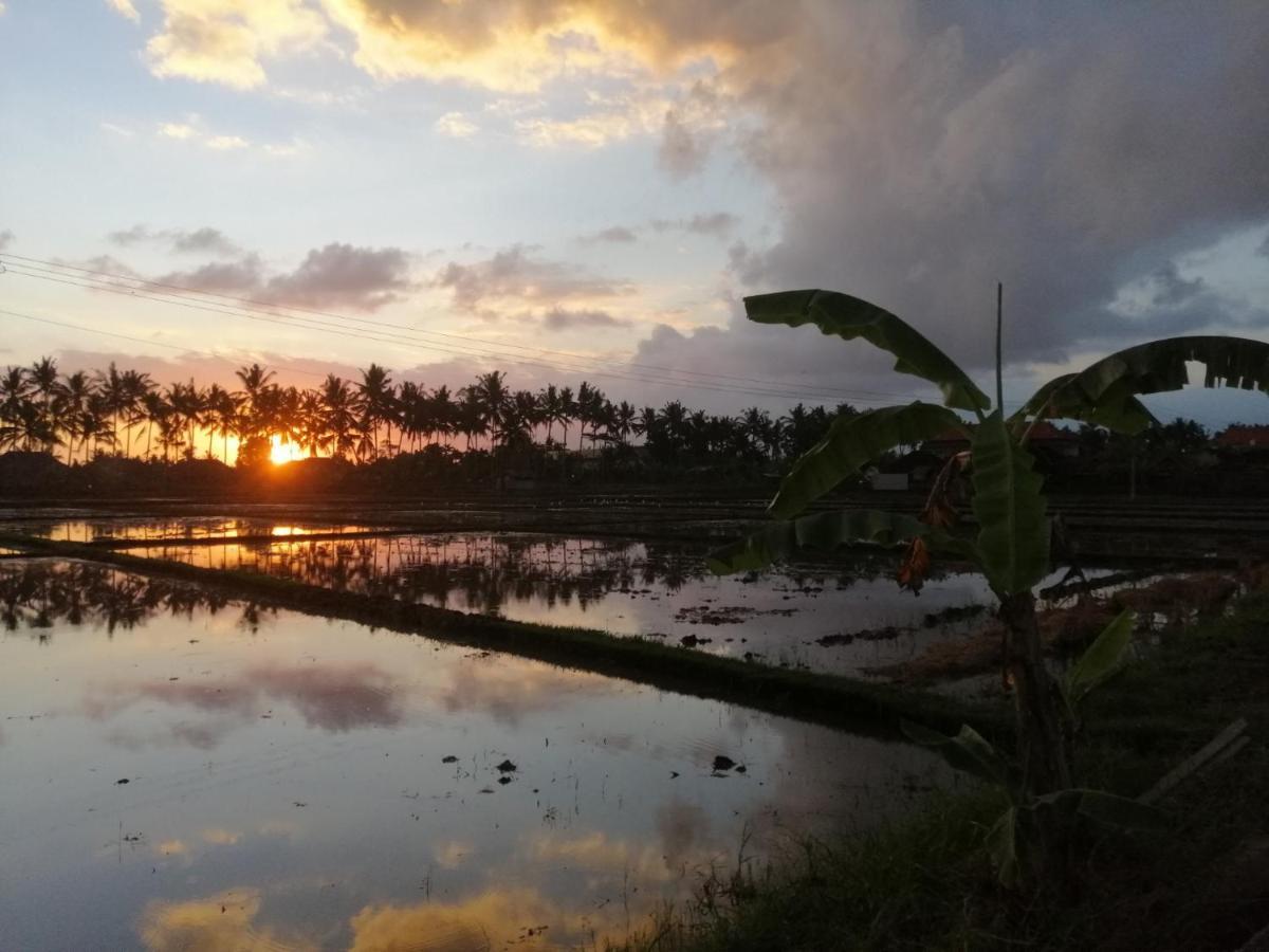 Villa Mon Reve Ubud Dış mekan fotoğraf